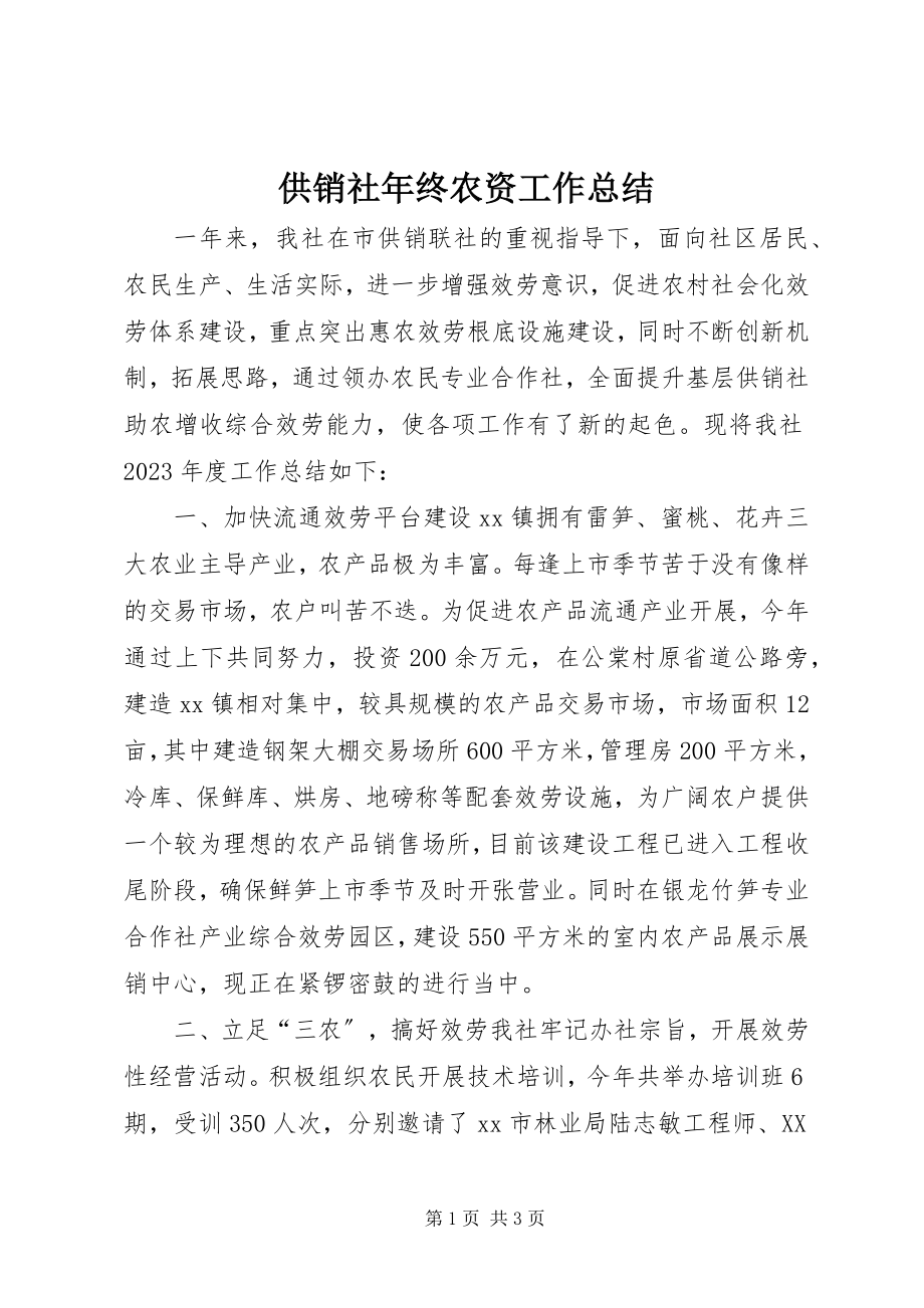 2023年供销社年终农资工作总结.docx_第1页