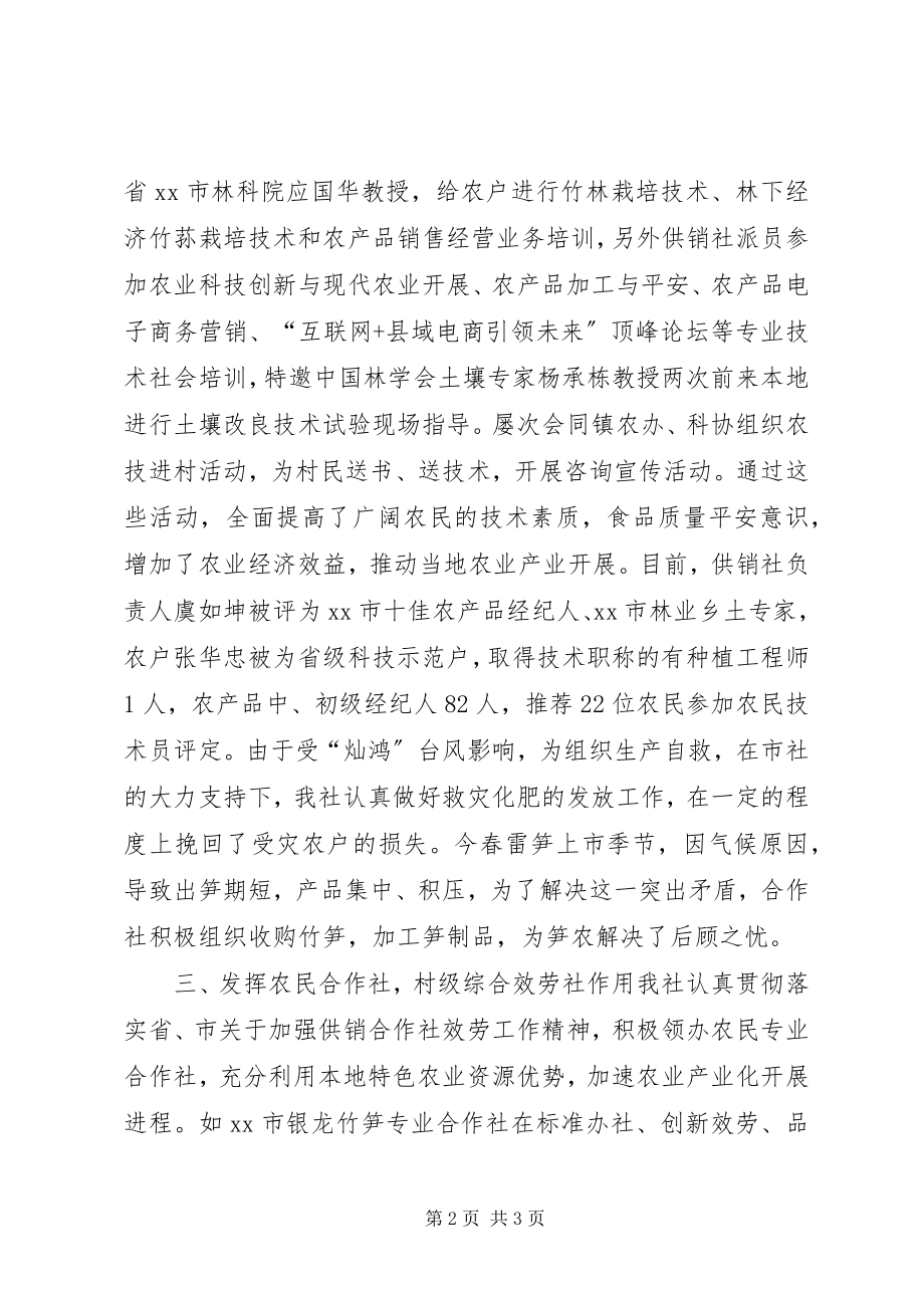 2023年供销社年终农资工作总结.docx_第2页