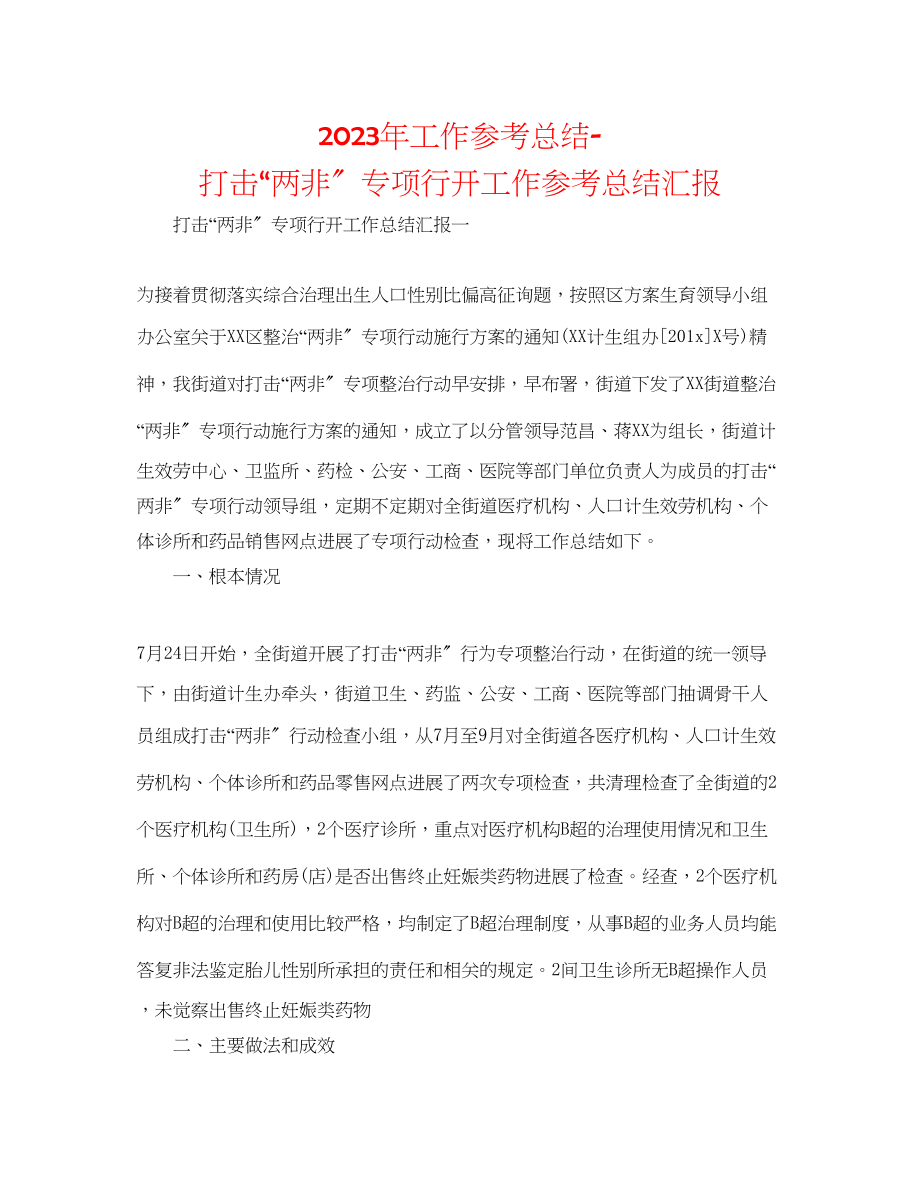 2023年工作总结打击两非专项行动工作总结汇报.docx_第1页