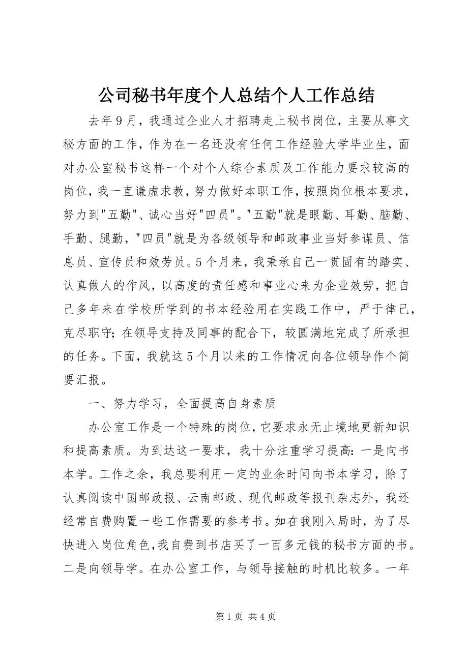 2023年公司秘书年度个人总结个人工作总结.docx_第1页