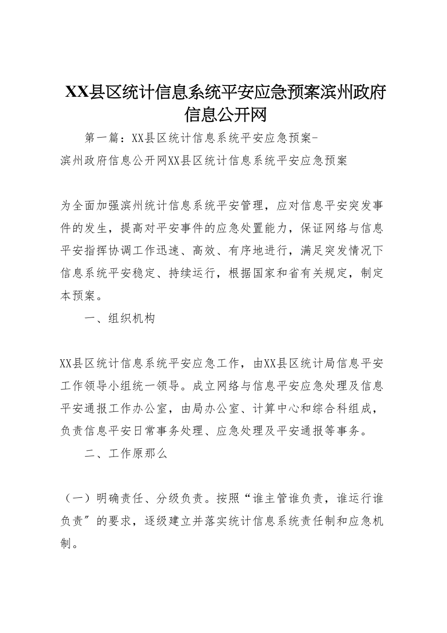 2023年县区统计信息系统安全应急预案滨州政府信息公开网.doc_第1页