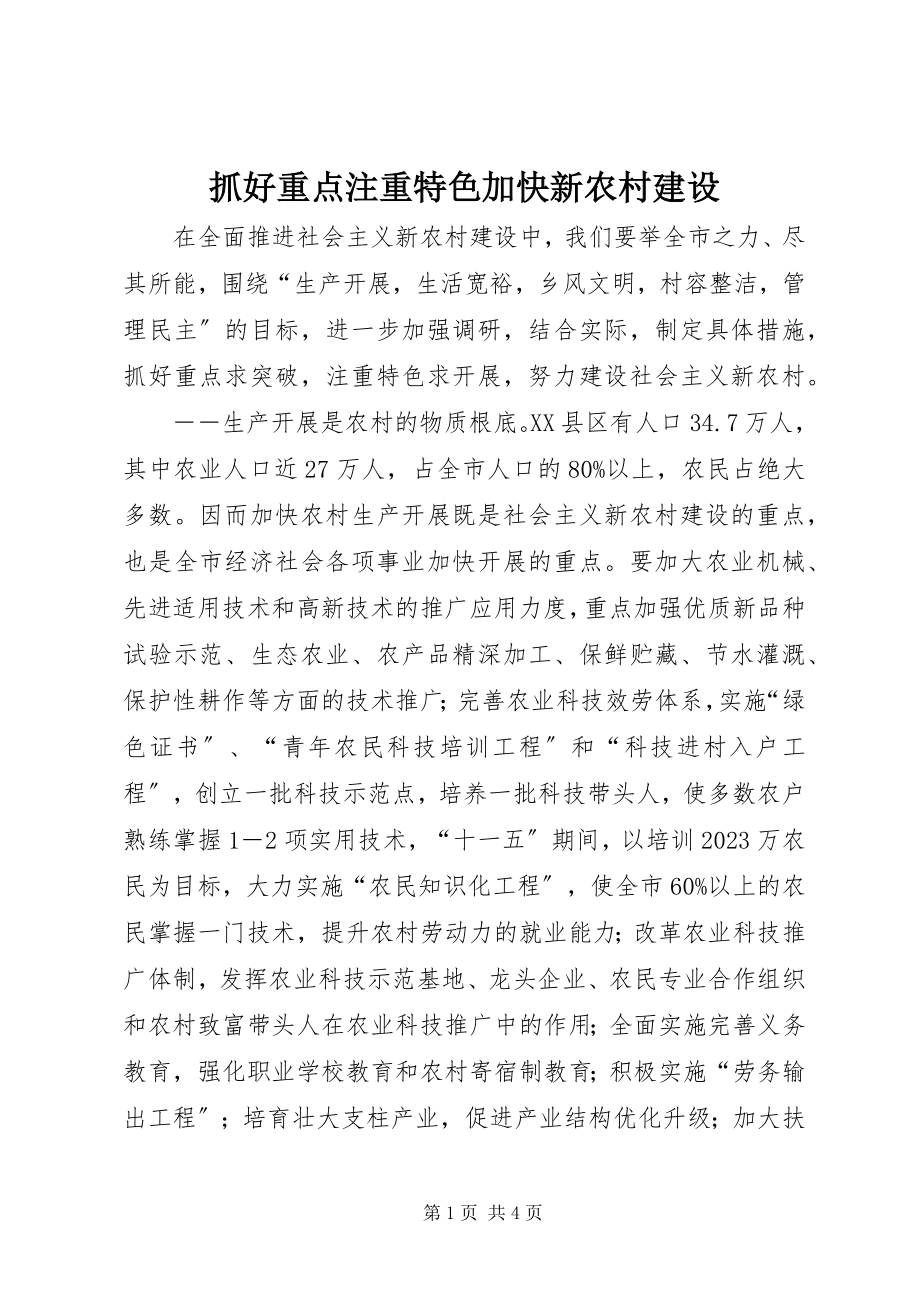 2023年抓好重点注重特色加快新农村建设.docx_第1页