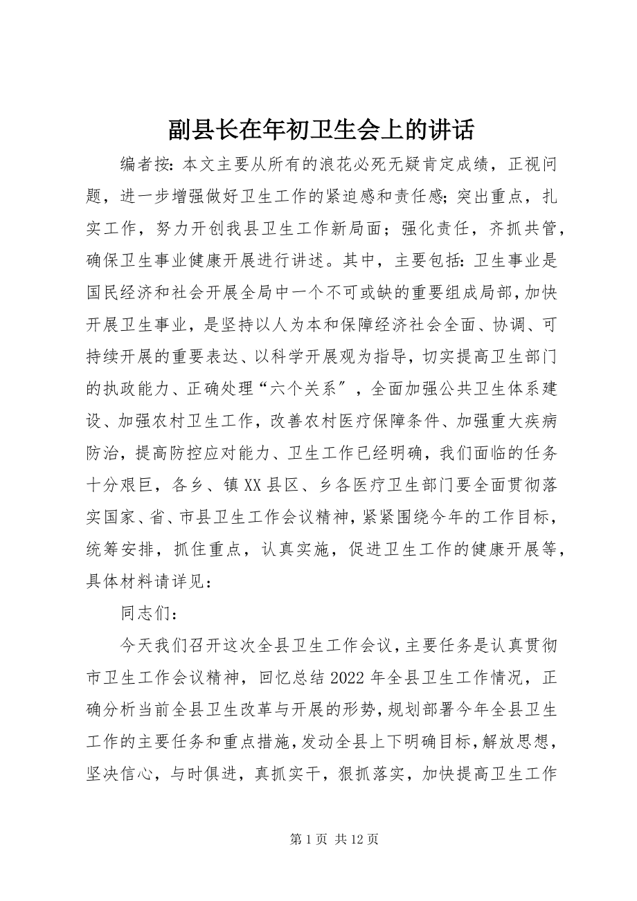 2023年副县长在年初卫生会上的致辞.docx_第1页