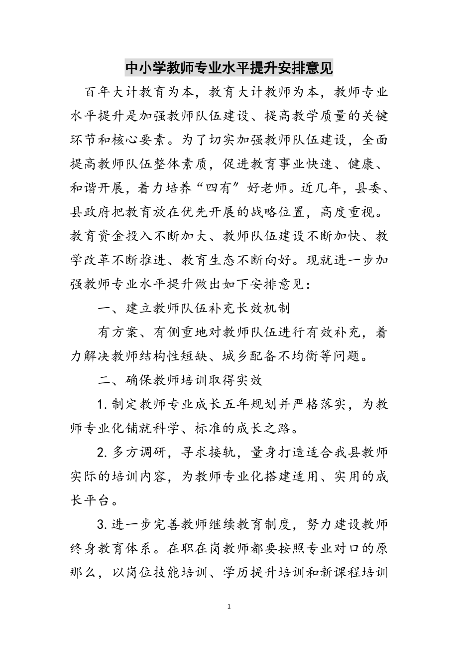 2023年中小学教师专业水平提升安排意见范文.doc_第1页