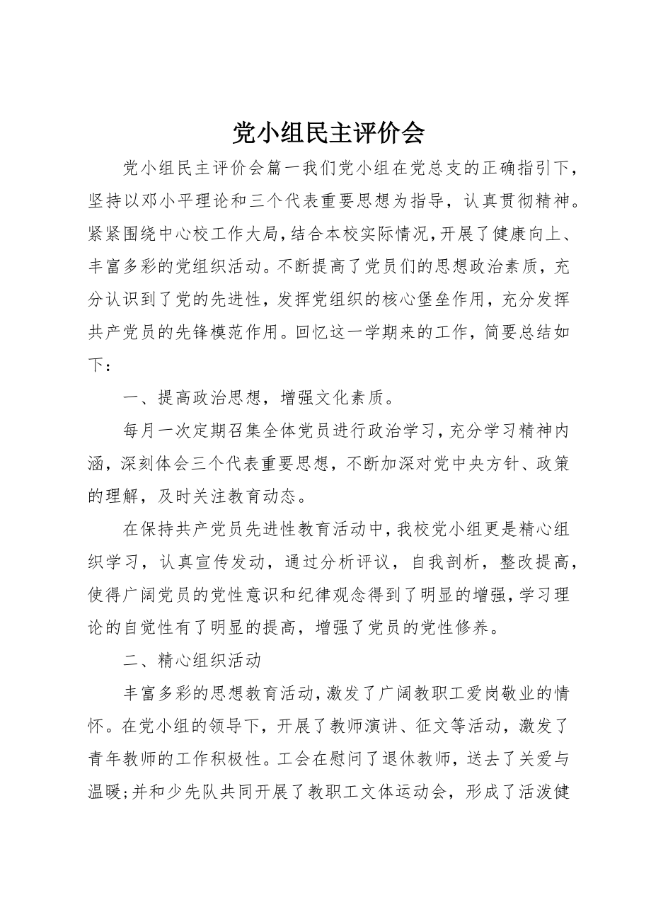 2023年党小组民主评价会.docx_第1页