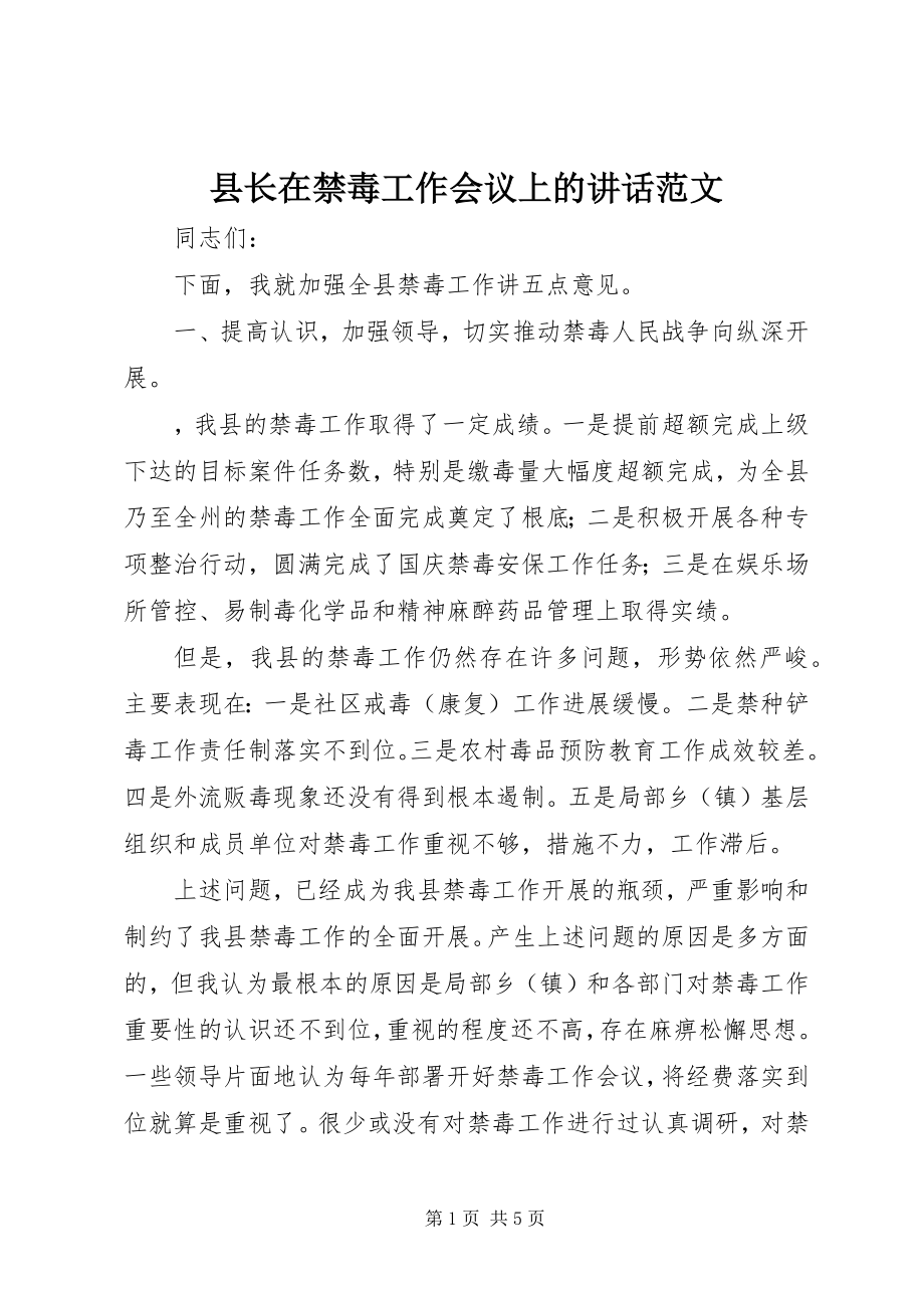 2023年县长在禁毒工作会议上的致辞.docx_第1页