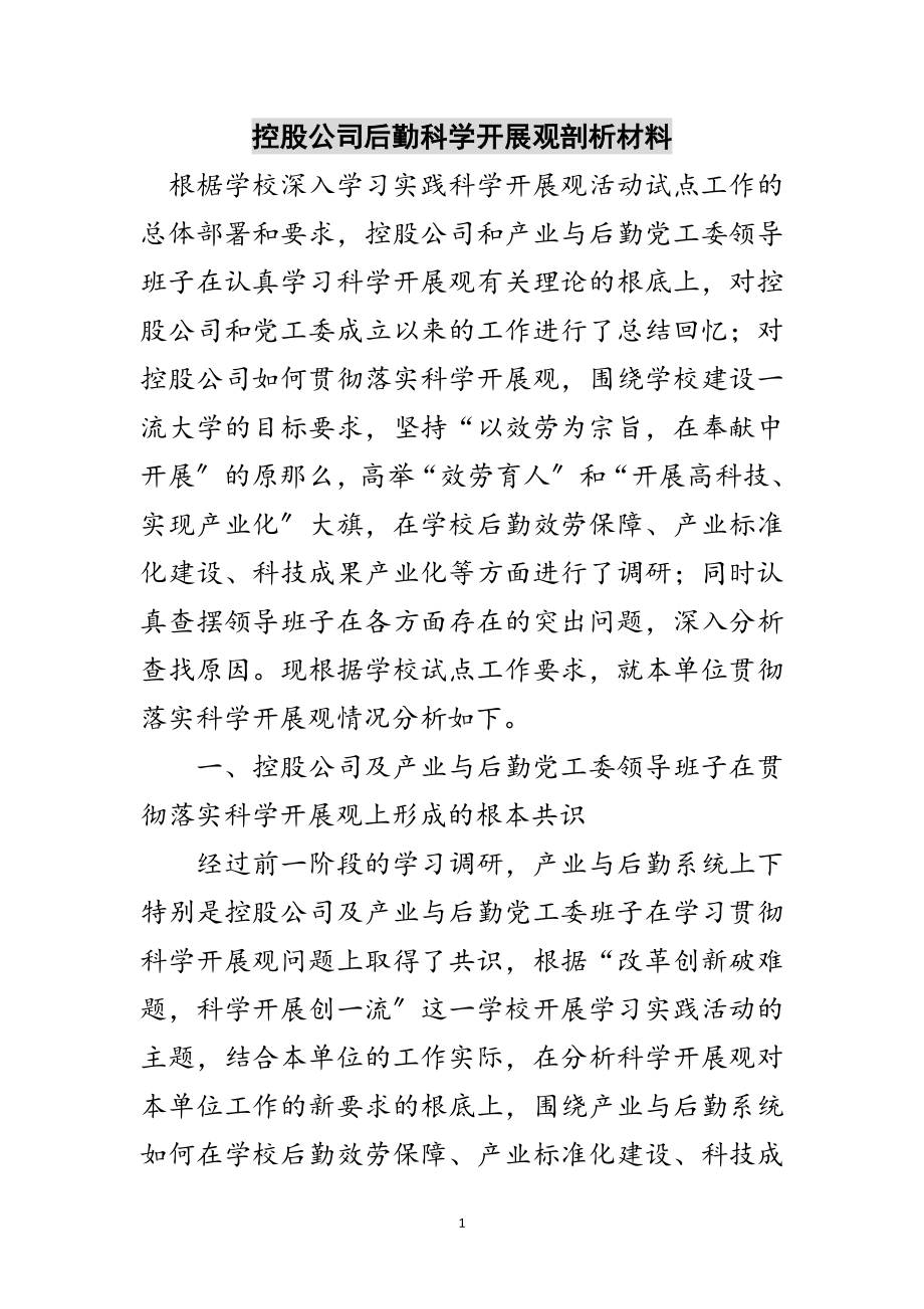 2023年控股公司后勤科学发展观剖析材料范文.doc_第1页