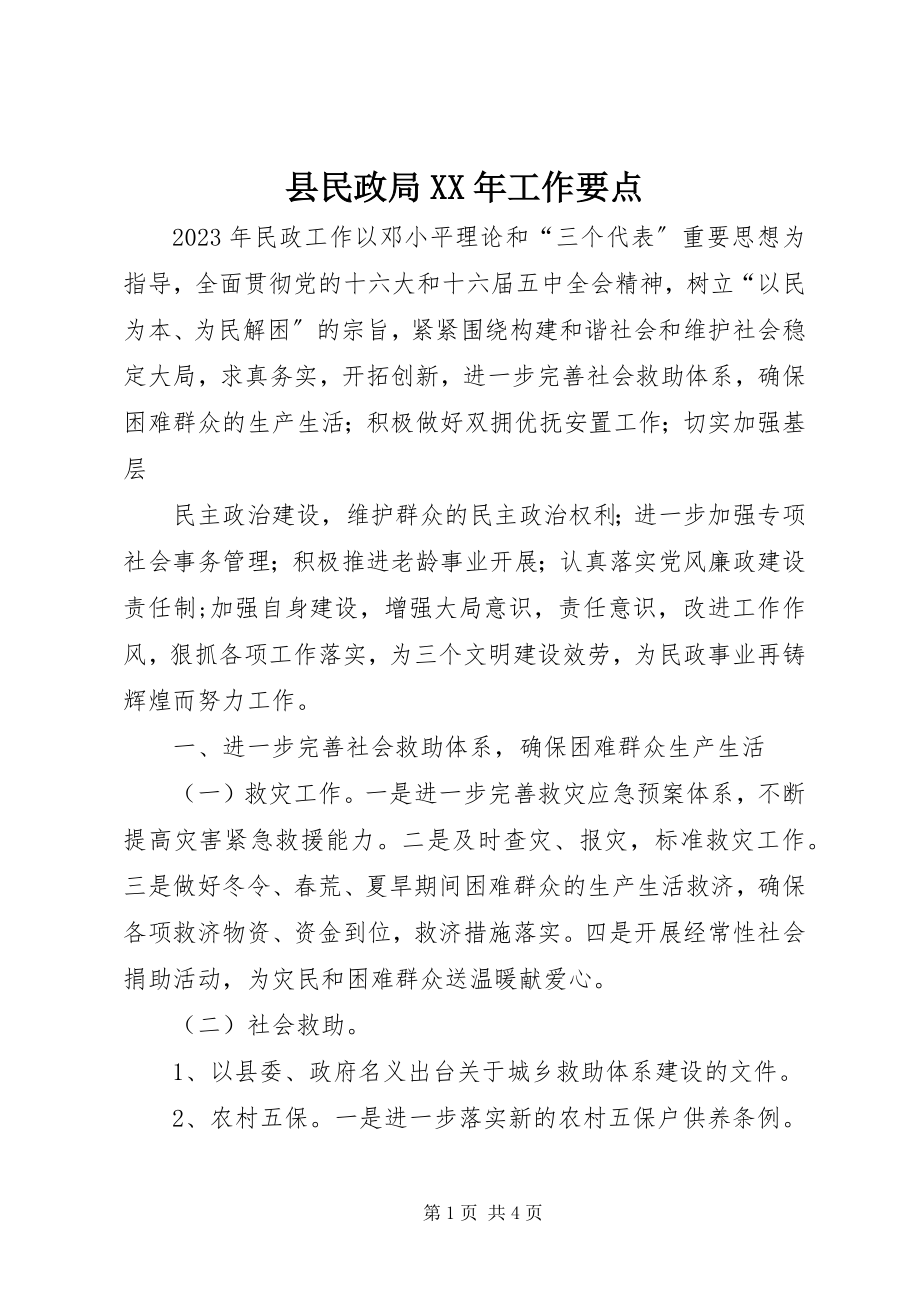 2023年县民政局工作要点2.docx_第1页