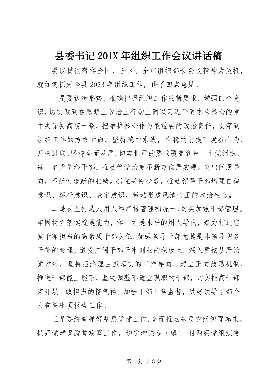 2023年县委书记组织工作会议致辞稿.docx_第1页