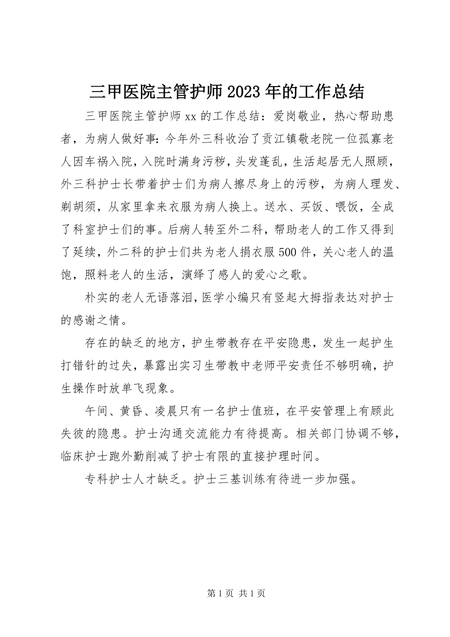 2023年三甲医院主管护师的工作总结3.docx_第1页