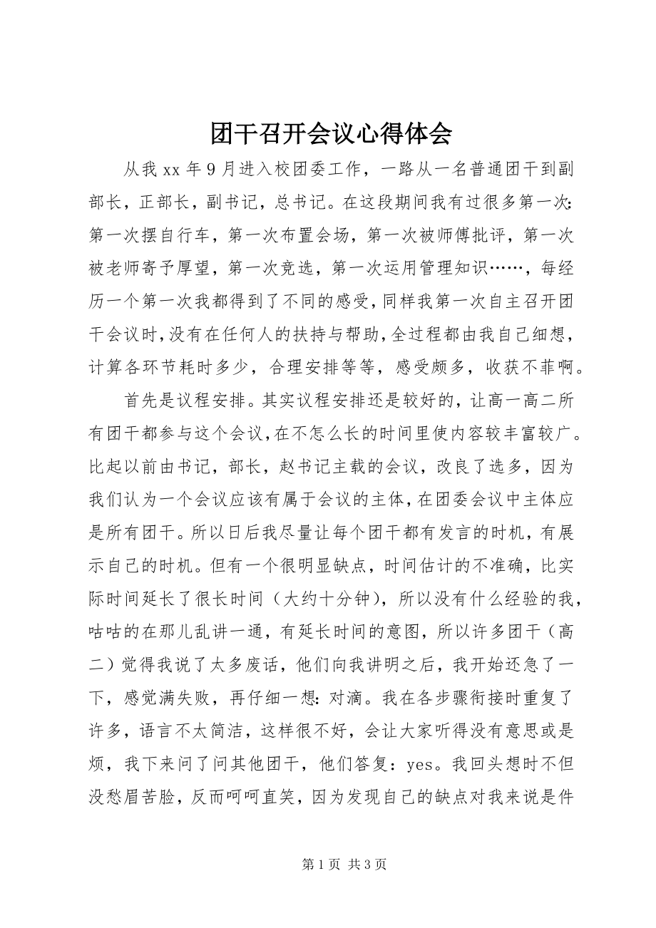 2023年团干召开会议心得体会.docx_第1页