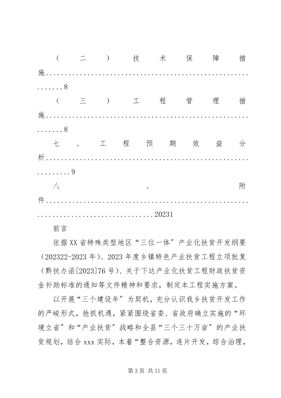 2023年红大蒜种植实施方案.docx_第3页