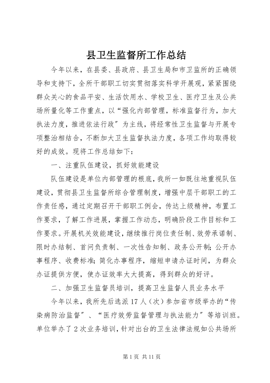 2023年县卫生监督所工作总结.docx_第1页