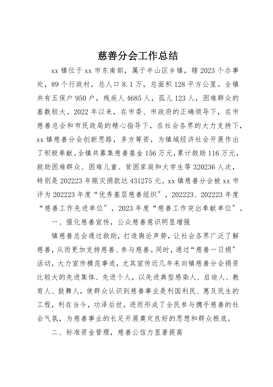 2023年慈善分会工作总结新编.docx_第1页