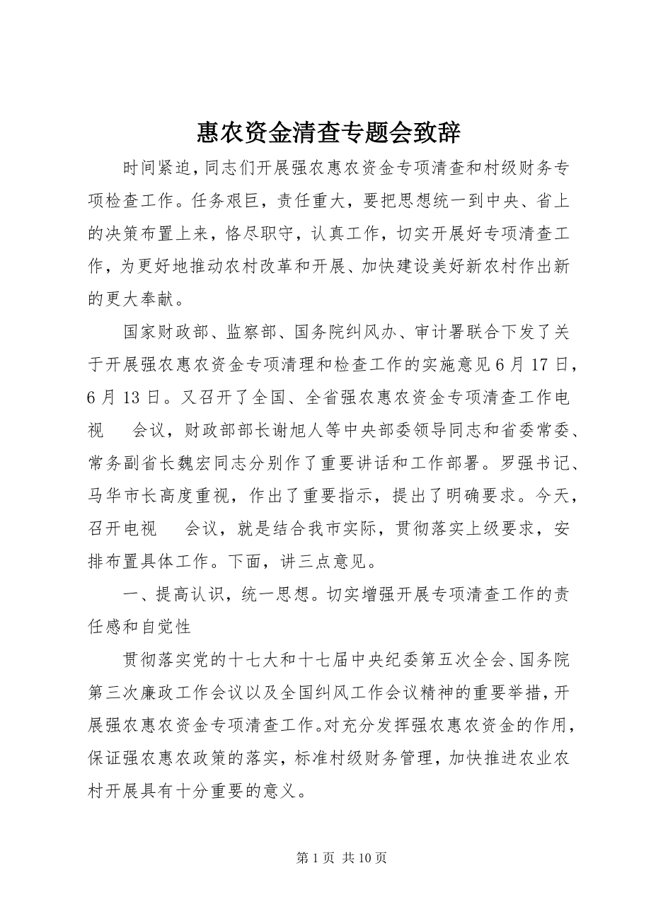 2023年惠农资金清查专题会致辞.docx_第1页