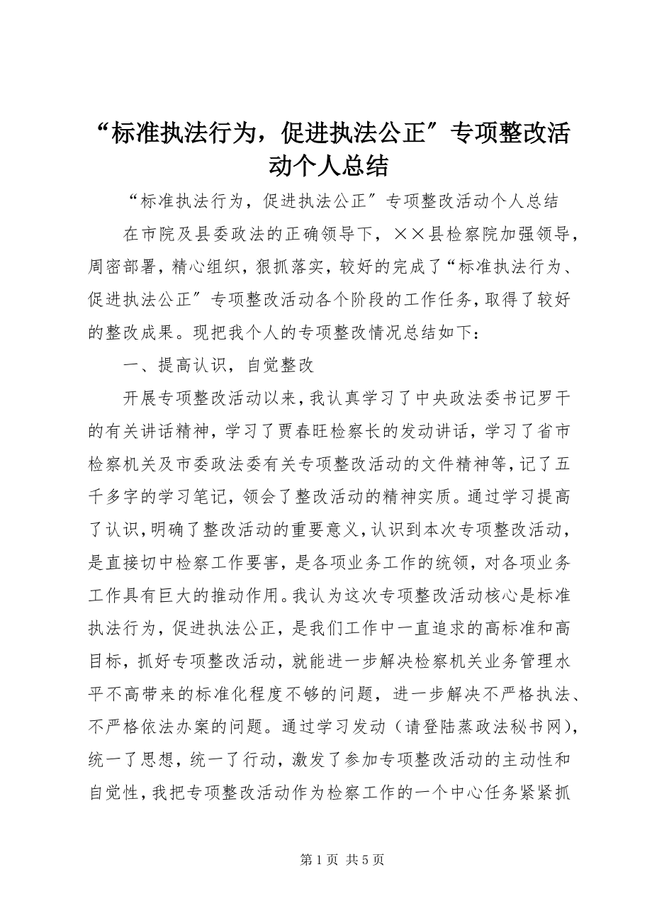 2023年规范执法行为促进执法公正专项整改活动个人总结.docx_第1页