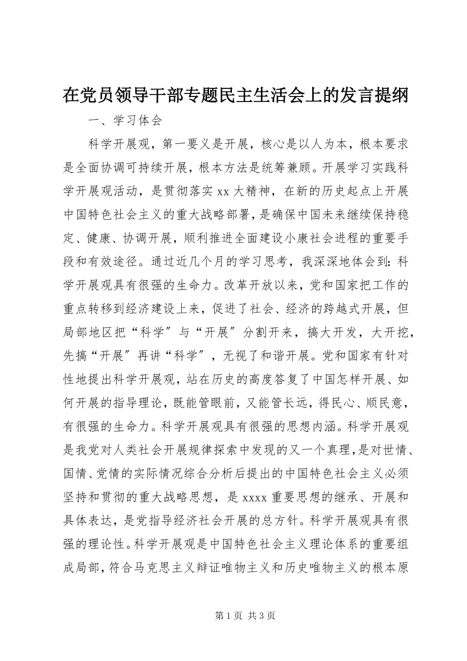 2023年在党员领导干部专题民主生活会上的讲话提纲.docx_第1页