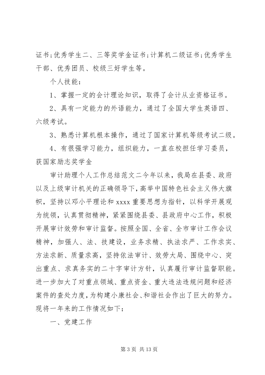 2023年审计工作总结个人审计助理个人工作总结范本.docx_第3页