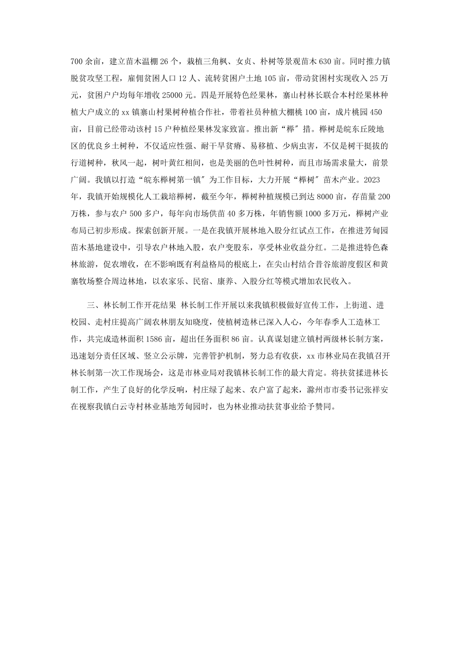 2023年乡镇林长制工作总结.docx_第2页