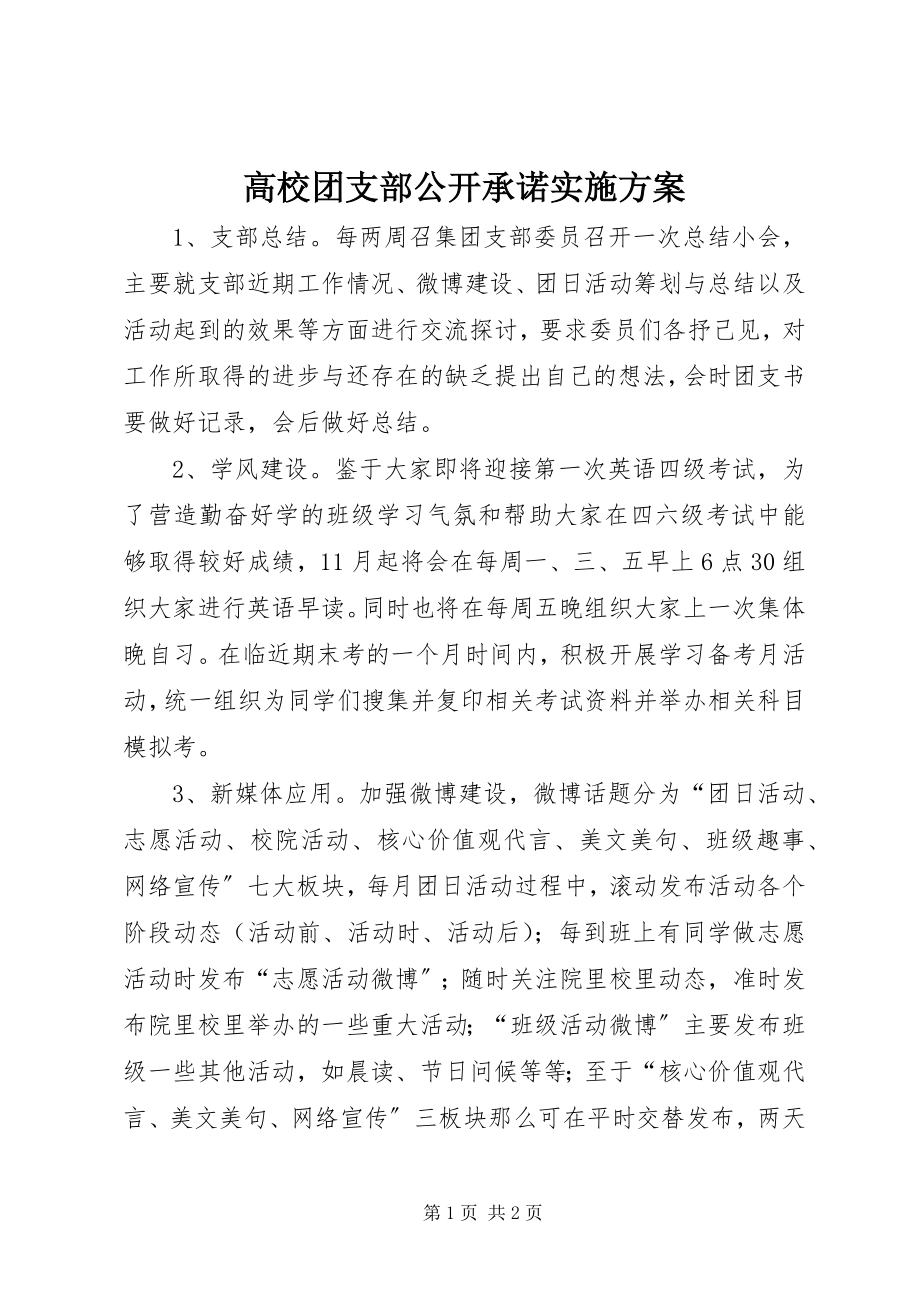 2023年高校团支部公开承诺实施方案.docx_第1页