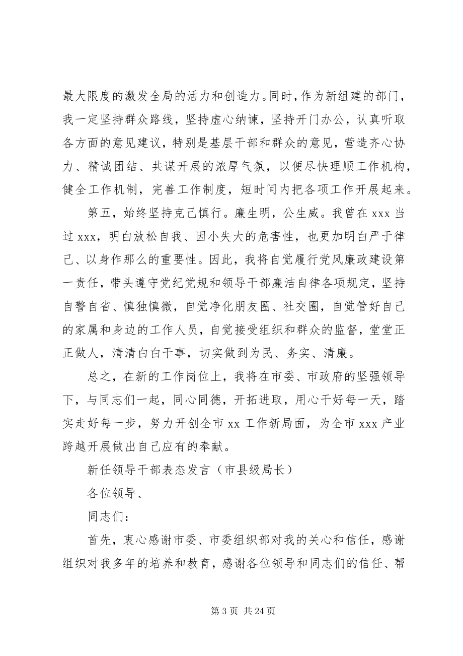 2023年新任领导干部表态讲话材料汇编16篇.docx_第3页