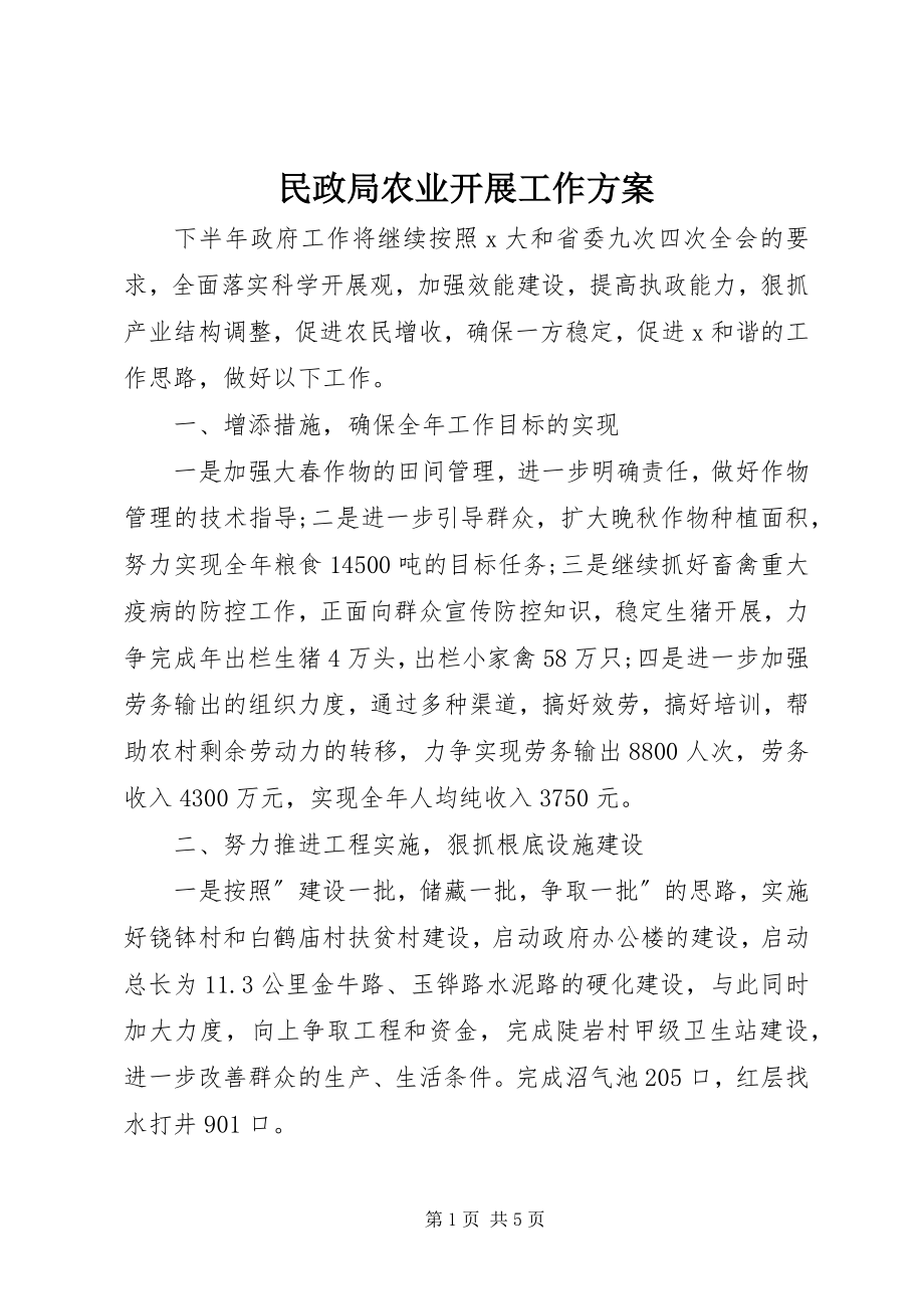 2023年民政局农业发展工作计划.docx_第1页