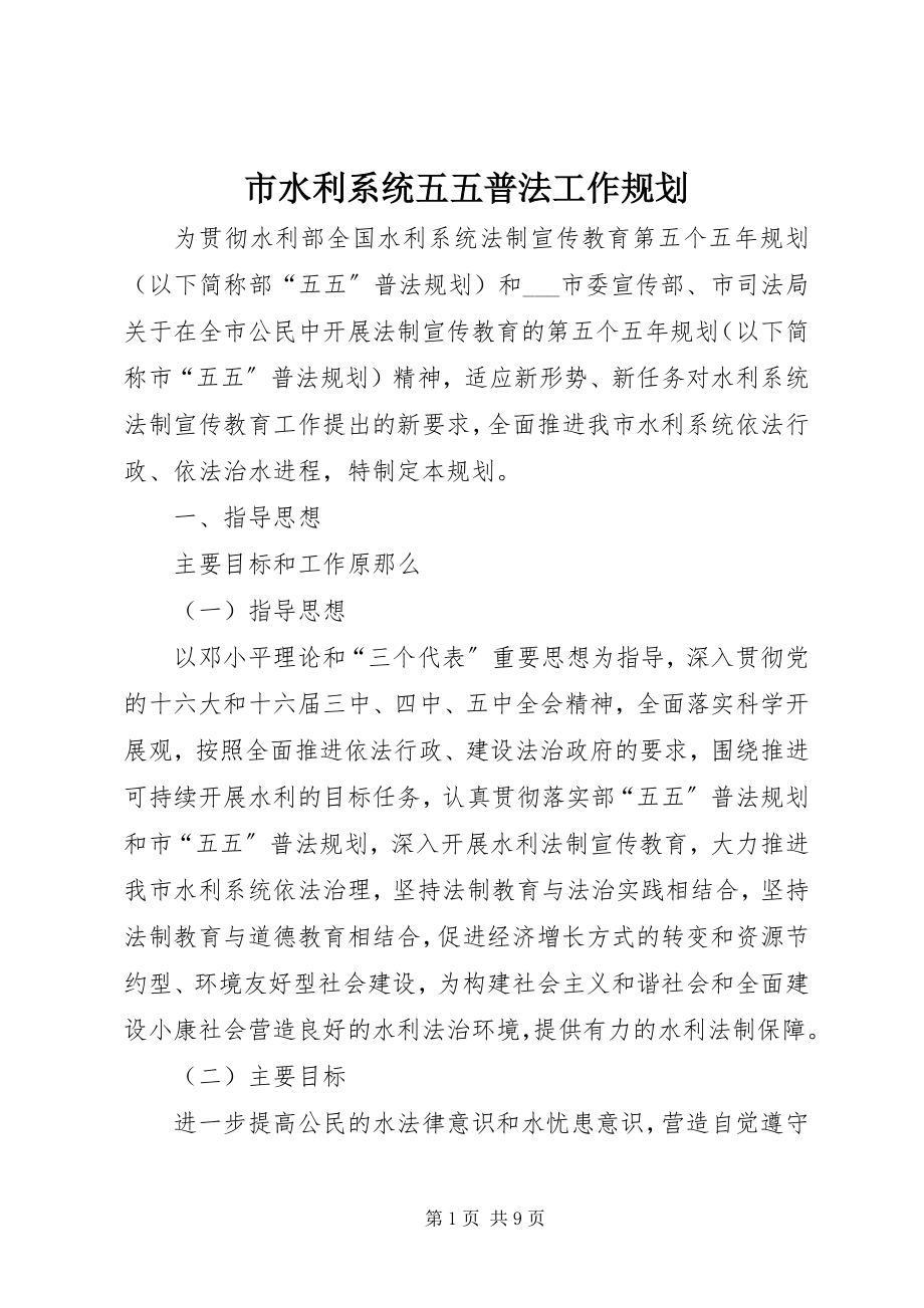 2023年市水利系统五五普法工作规划.docx_第1页