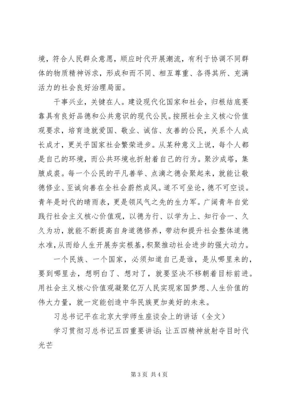 2023年学习贯彻习总五四重要致辞精神牢固树立核心价值观的有力支撑.docx_第3页