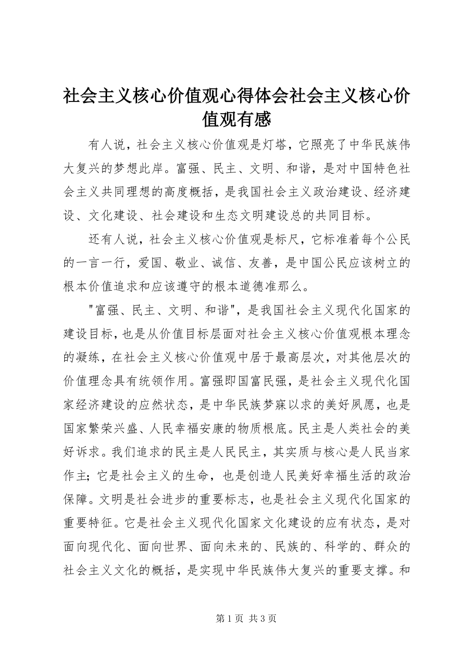 2023年社会主义核心价值观心得体会社会主义核心价值观有感.docx_第1页