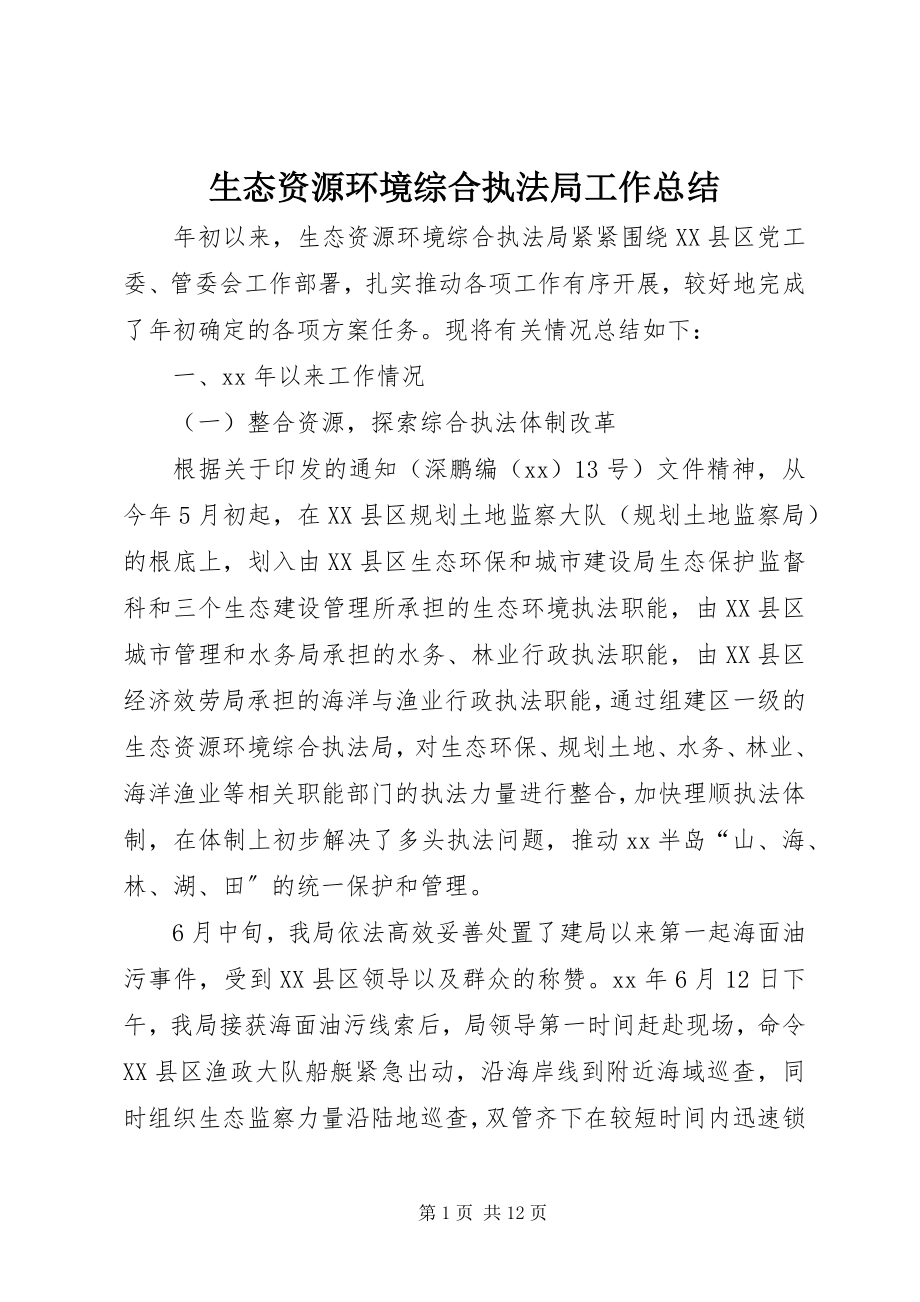 2023年生态资源环境综合执法局工作总结.docx_第1页