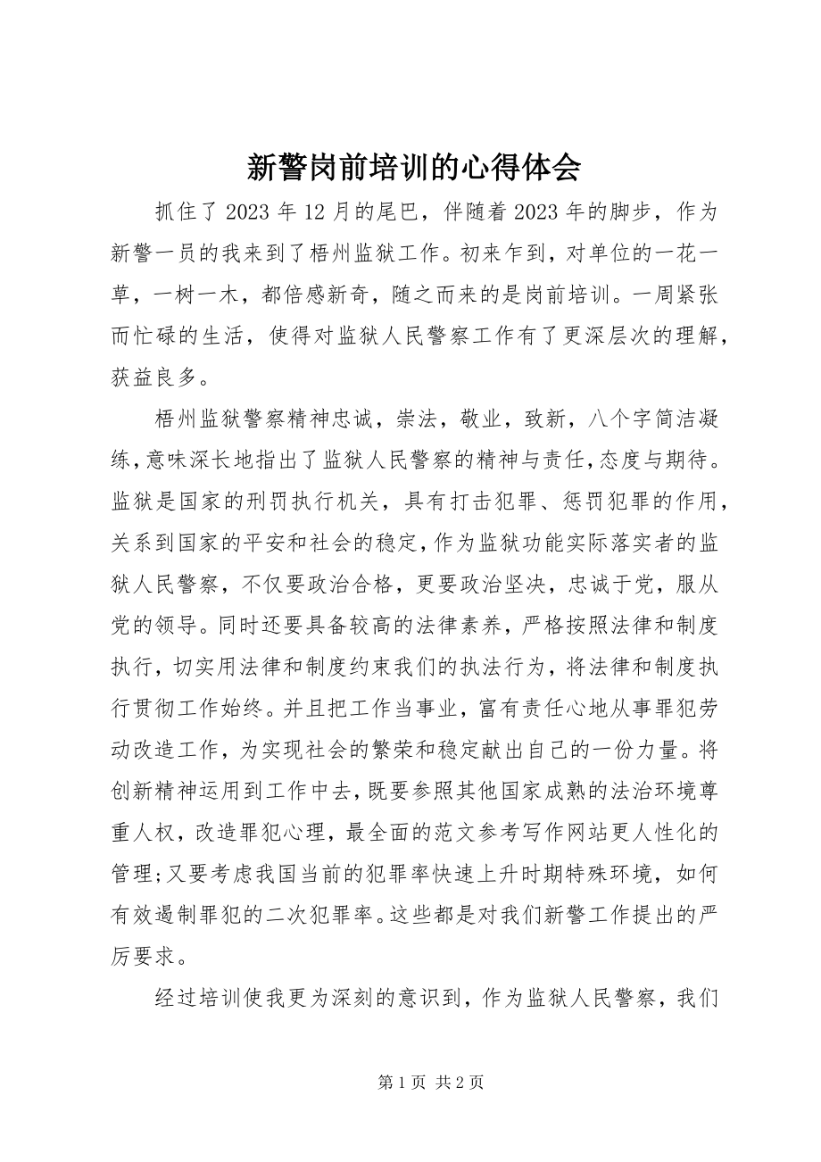 2023年新警岗前培训的心得体会.docx_第1页