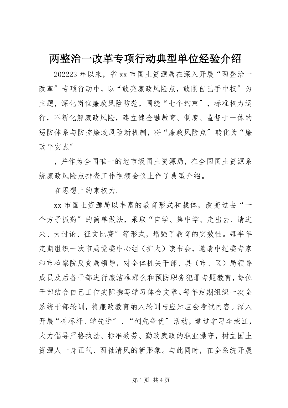 2023年两整治一改革专项行动典型单位经验介绍.docx_第1页