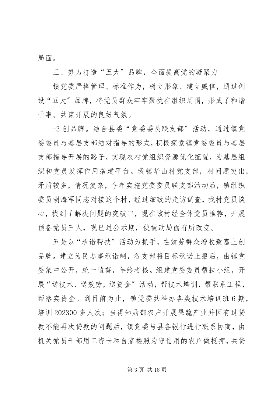 2023年升昌镇基层组织建设年经验交流讲话稿.docx_第3页