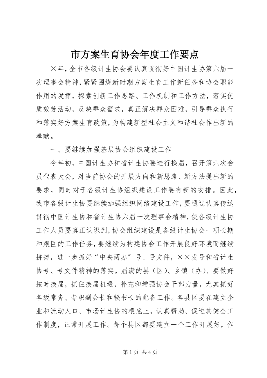 2023年市计划生育协会年度工作要点.docx_第1页