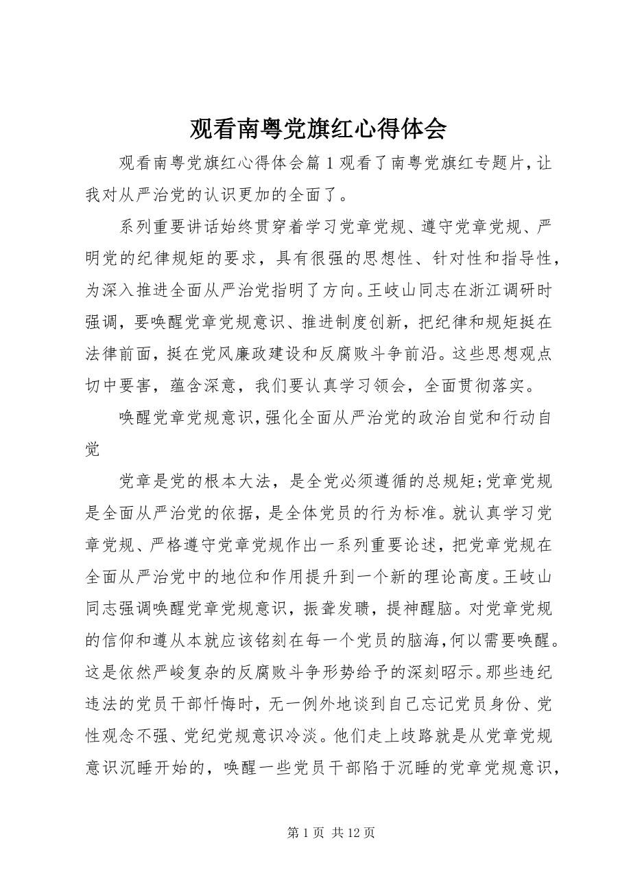 2023年观看南粤党旗红心得体会.docx_第1页