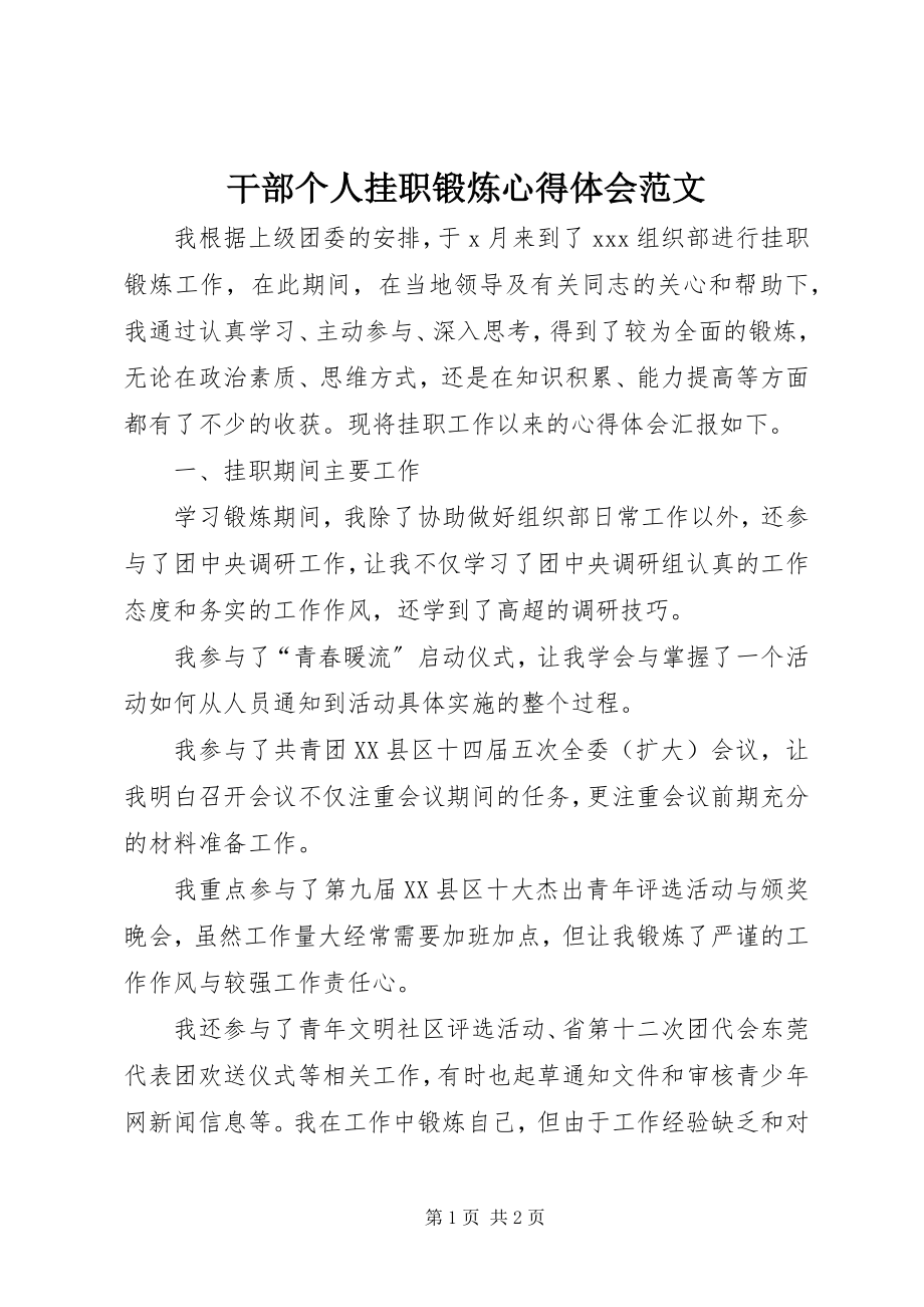 2023年干部个人挂职锻炼心得体会.docx_第1页