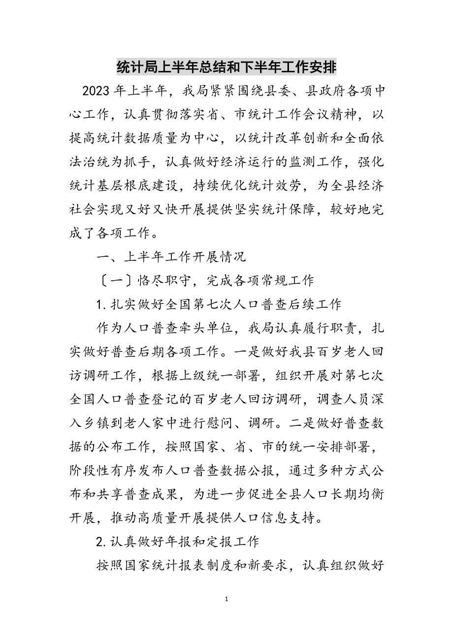 2023年统计局上半年总结和下半年工作安排范文.doc_第1页