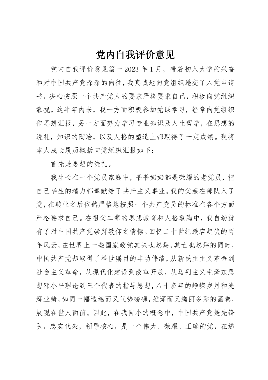 2023年党内自我评价意见.docx_第1页