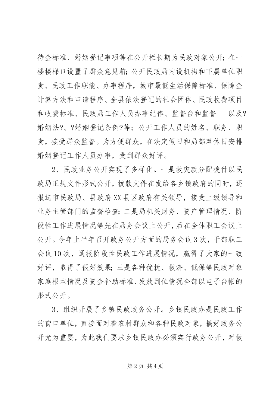 2023年民政局政务公开上半年工作总结.docx_第2页