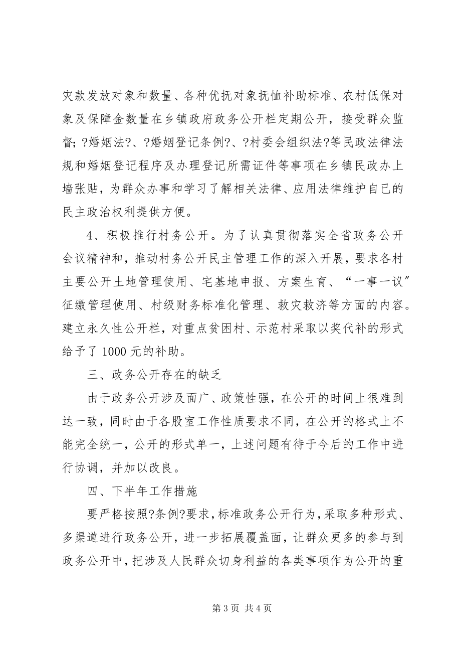 2023年民政局政务公开上半年工作总结.docx_第3页