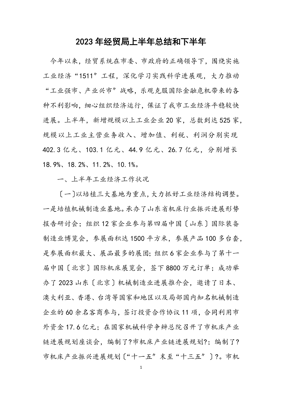 2023年经贸局上半年总结和下半年计划.docx_第1页