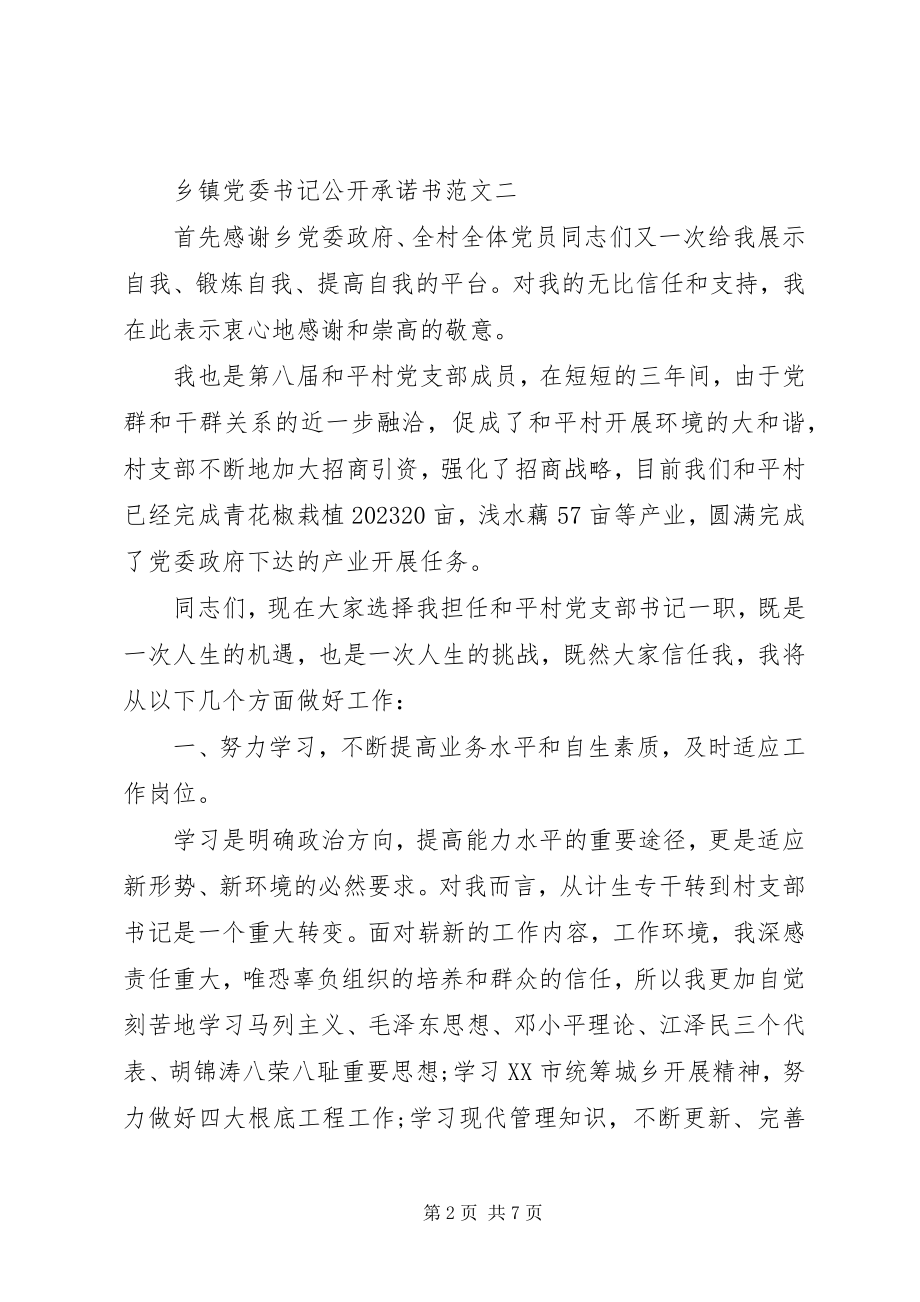 2023年乡镇党委书记公开承诺书.docx_第2页