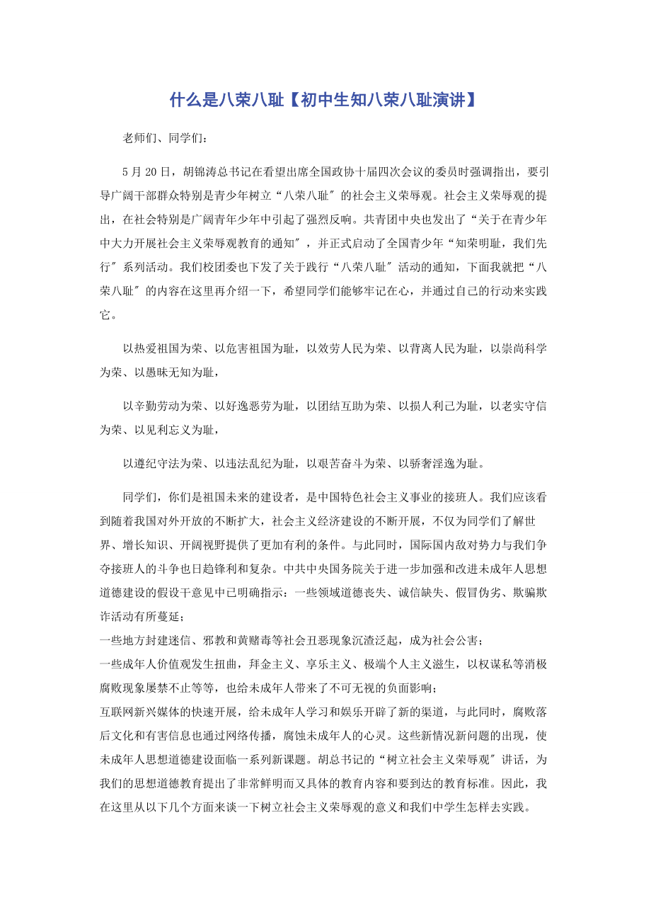 2023年什么是八荣八耻初中生知八荣八耻演讲.docx_第1页