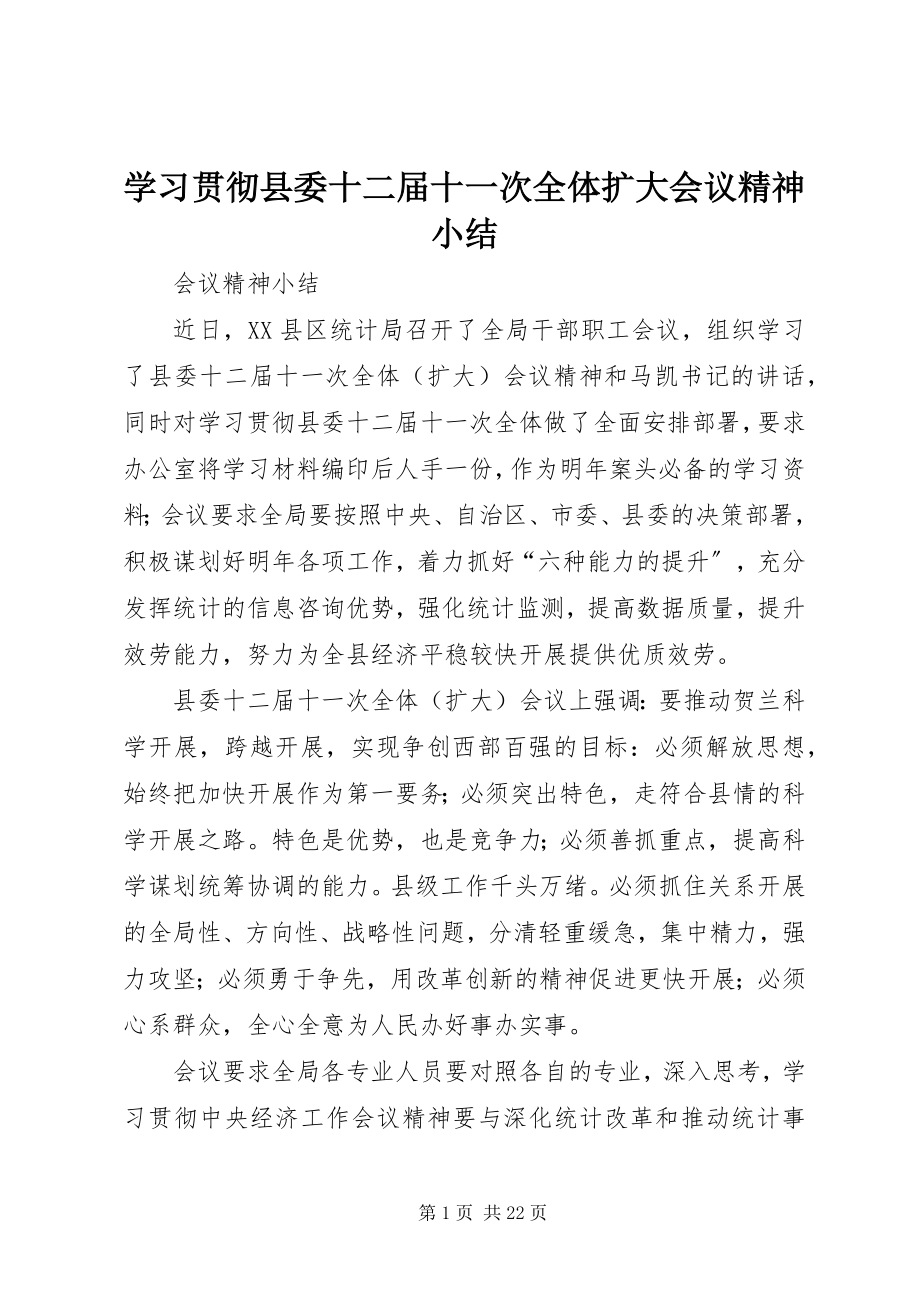 2023年学习贯彻县委十二届十一次全体扩大会议精神小结.docx_第1页