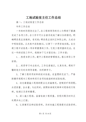 2023年工地试验室主任工作总结.docx