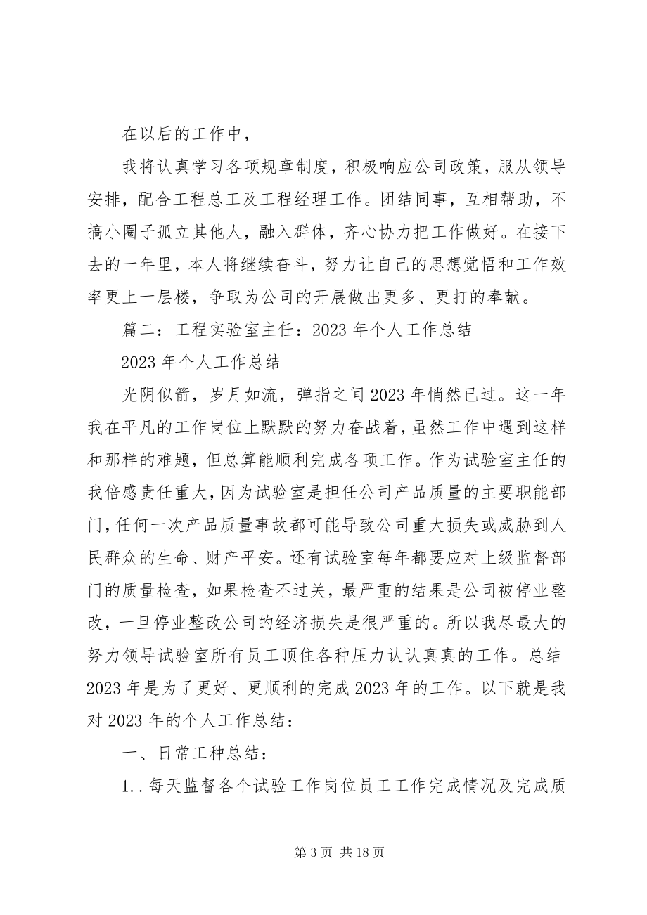 2023年工地试验室主任工作总结.docx_第3页