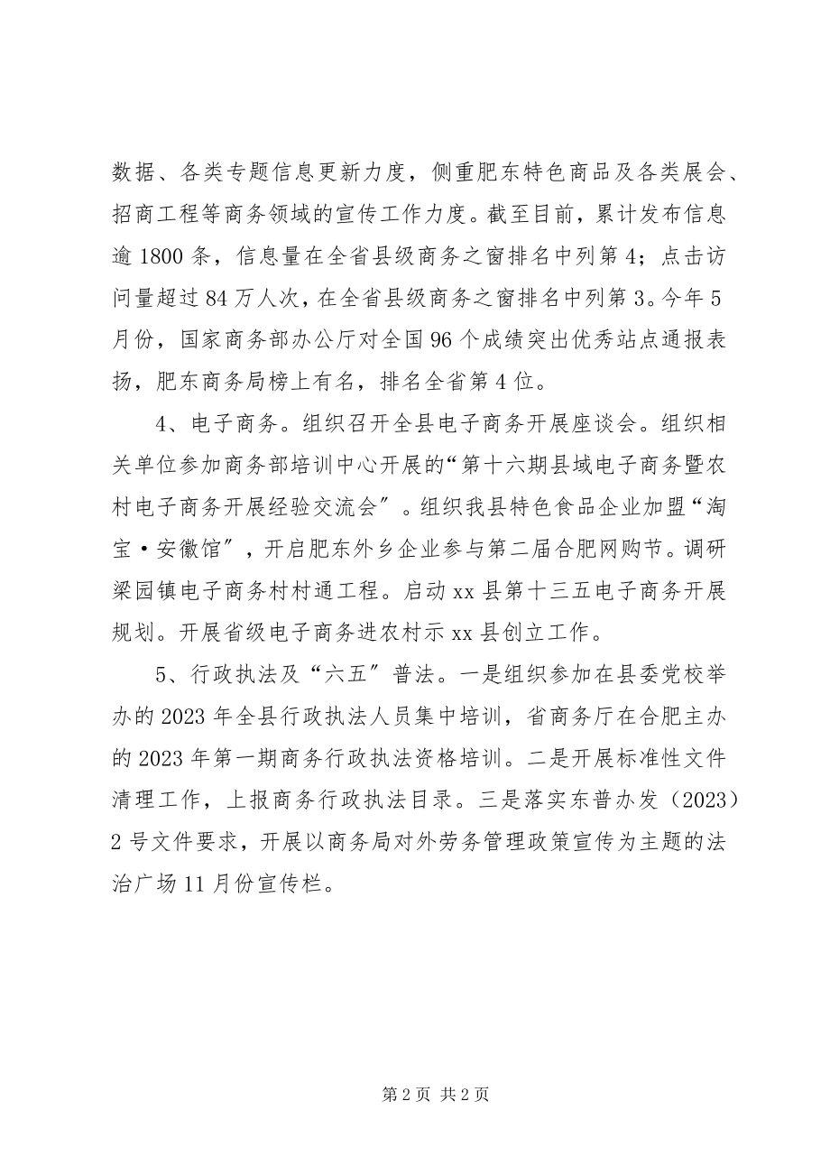 2023年商务局综合信息科工作总结.docx_第2页