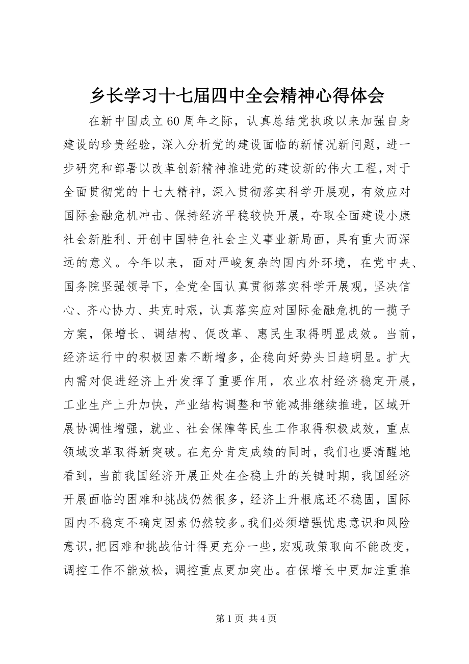 2023年乡长学习十七届四中全会精神心得体会.docx_第1页