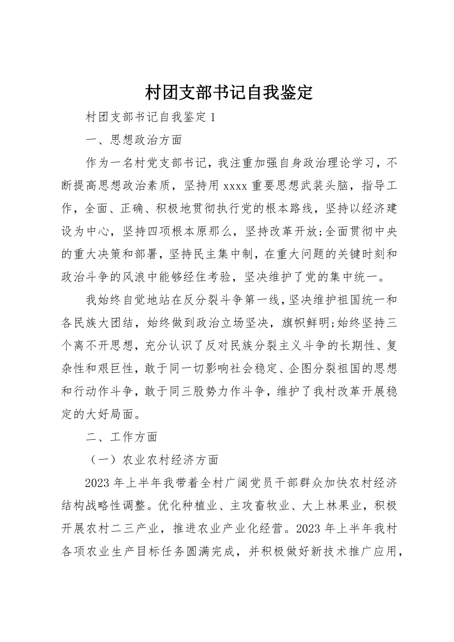 2023年村团支部书记自我鉴定新编.docx_第1页