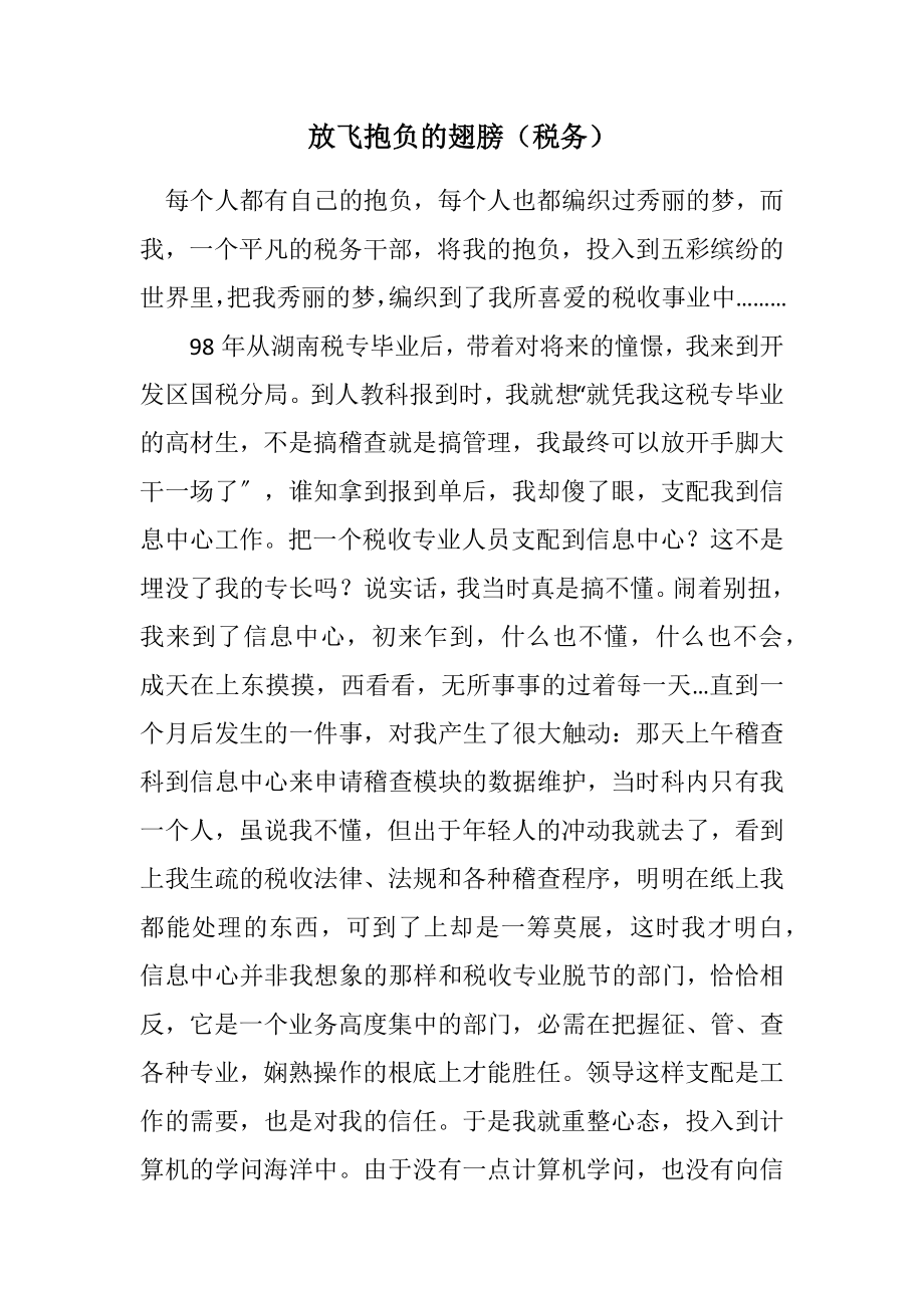 2023年放飞理想的翅膀（税务）.docx_第1页